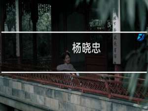 杨晓忠(关于杨晓忠的简介)