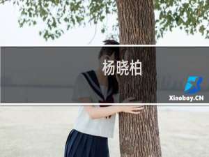 杨晓柏(关于杨晓柏的简介)