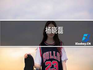 杨晓磊(关于杨晓磊的简介)