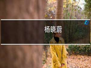 杨晓蔚(关于杨晓蔚的简介)