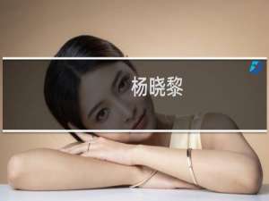 杨晓黎(关于杨晓黎的简介)
