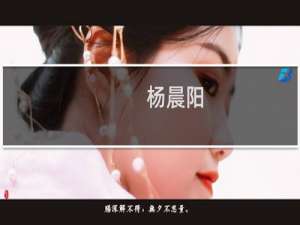 杨晨阳(关于杨晨阳的简介)