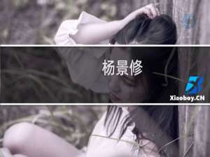 杨景修(关于杨景修的简介)