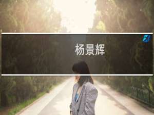 杨景辉(关于杨景辉的简介)