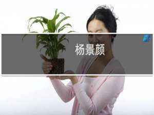杨景颜(关于杨景颜的简介)