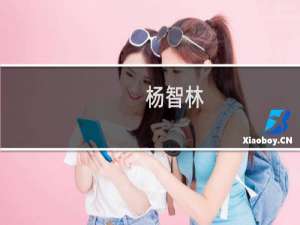 杨智林(关于杨智林的简介)