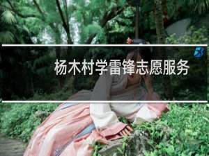 杨木村学雷锋志愿服务队(关于杨木村学雷锋志愿服务队的简介)