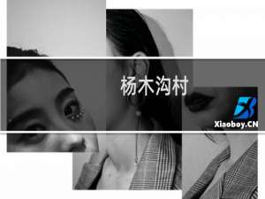 杨木沟村(关于杨木沟村的简介)