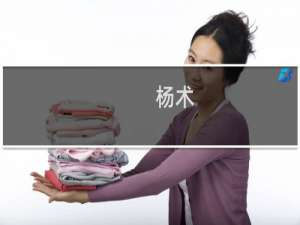 杨术(关于杨术的简介)