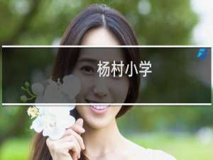 杨村小学(关于杨村小学的简介)