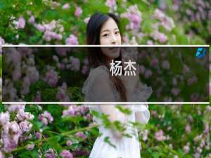 杨杰(关于杨杰的简介)