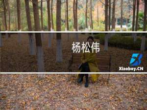 杨松伟(关于杨松伟的简介)