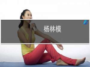 杨林模(关于杨林模的简介)