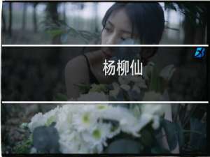 杨柳仙(关于杨柳仙的简介)