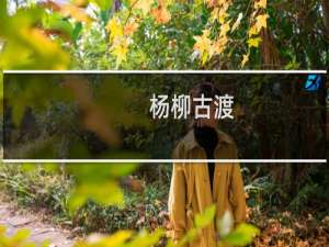 杨柳古渡(关于杨柳古渡的简介)