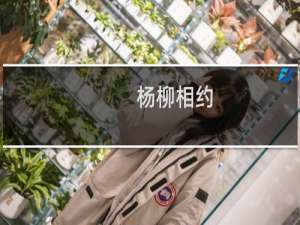 杨柳相约(关于杨柳相约的简介)