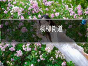 杨柳街道(关于杨柳街道的简介)