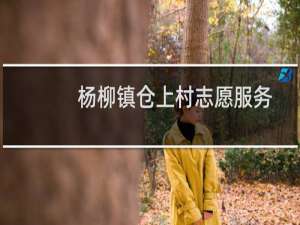 杨柳镇仓上村志愿服务队(关于杨柳镇仓上村志愿服务队的简介)
