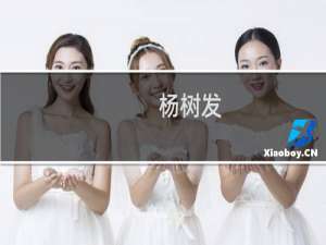 杨树发(关于杨树发的简介)