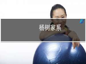 杨树家系-小*加(关于杨树家系-小*加的简介)