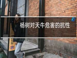 杨树对天牛危害的抗性机制的研究(关于杨树对天牛危害的抗性机制的研究的简介)