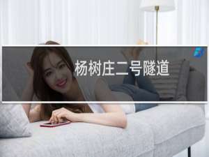 杨树庄二号隧道(关于杨树庄二号隧道的简介)