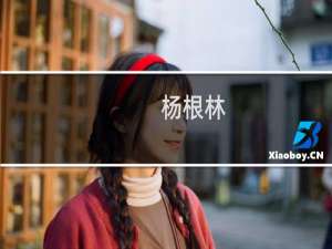 杨根林(关于杨根林的简介)
