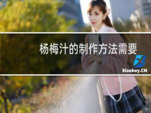 杨梅汁的制作方法需要捣碎吗（杨梅汁的做法）
