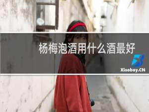 杨梅泡酒用什么酒最好