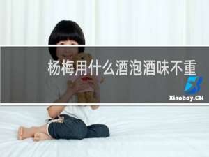 杨梅用什么酒泡酒味不重