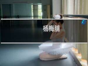 杨梅脯(关于杨梅脯的简介)