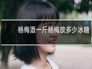 杨梅酒一斤杨梅放多少冰糖