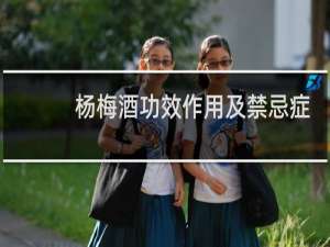 杨梅酒功效作用及禁忌症