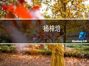 杨梓培(关于杨梓培的简介)