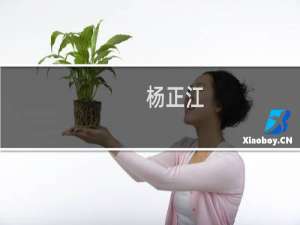 杨正江(关于杨正江的简介)