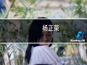 杨正荣(关于杨正荣的简介)