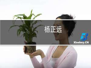 杨正远(关于杨正远的简介)