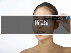 杨武斌(关于杨武斌的简介)