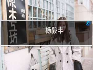 杨毅丰(关于杨毅丰的简介)