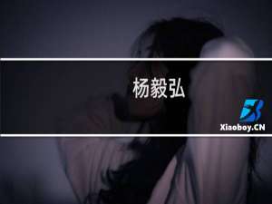 杨毅弘(关于杨毅弘的简介)