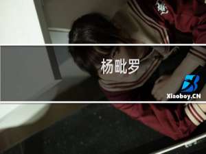 杨毗罗(关于杨毗罗的简介)