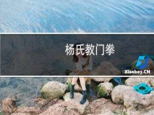 杨氏教门拳(关于杨氏教门拳的简介)