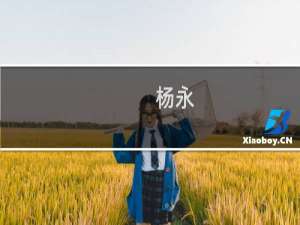 杨永(关于杨永的简介)