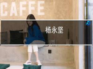 杨永坚(关于杨永坚的简介)