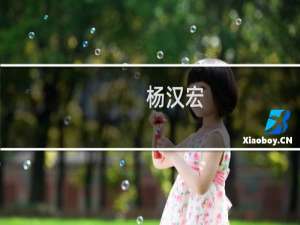 杨汉宏(关于杨汉宏的简介)