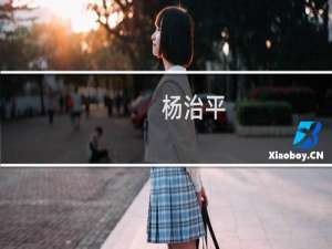 杨治平(关于杨治平的简介)