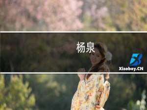 杨泉(关于杨泉的简介)