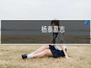 杨泰墓志(关于杨泰墓志的简介)
