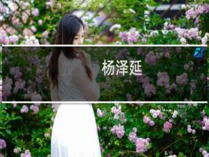 杨泽延(关于杨泽延的简介)