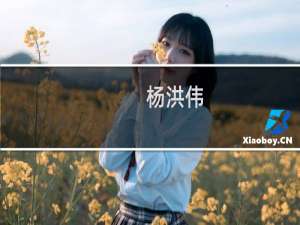 杨洪伟(关于杨洪伟的简介)